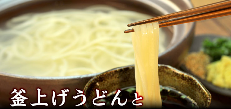 釜上げうどんとかけうどんのセット